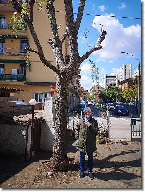 Clicca per scorrere le foto originali ingrandite