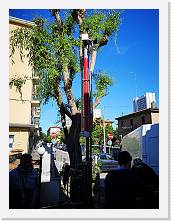 IMG_20210518_092554 * 2736 x 3648 * (2.02MB)