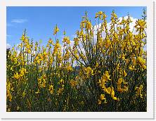IMG_20210602_165645 * 3648 x 2736 * (2.37MB)