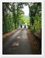 IMG_20210602_183813 * 2736 x 3648 * (2.99MB)