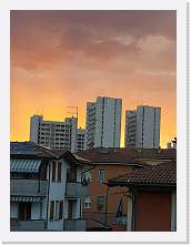 IMG_20210708_204504 * 2736 x 3648 * (378KB)
