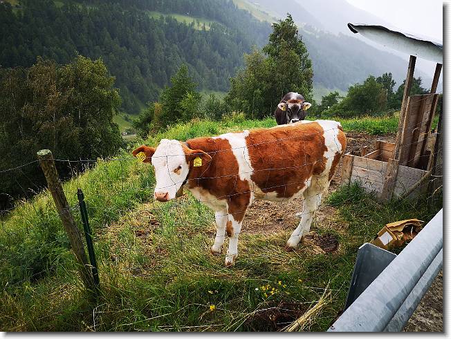 Clicca per scorrere le foto originali ingrandite