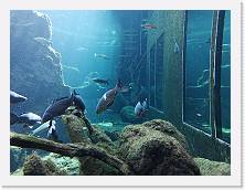 IMG_20210715_103101 * 3648 x 2736 * (1.61MB)