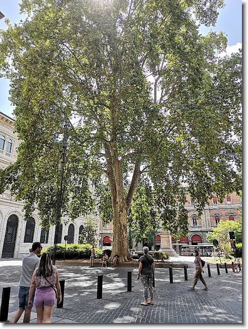 Clicca per scorrere le foto originali ingrandite
