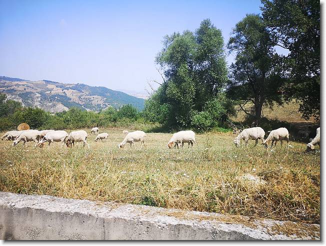Clicca per scorrere le foto originali ingrandite