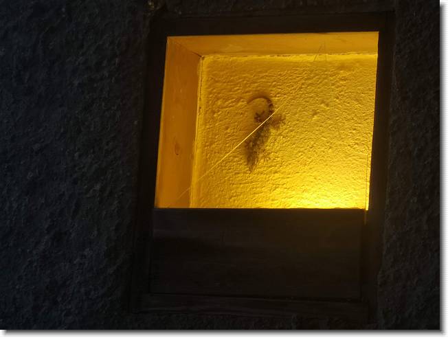 Clicca per scorrere le foto originali ingrandite