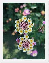 210806120407_cal * 2736 x 3648 * (323KB)
