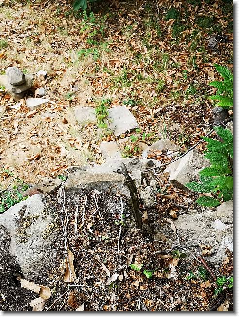 Clicca per scorrere le foto originali ingrandite