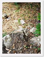 IMG_20210904_115847 * 2736 x 3648 * (2.66MB)