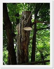 IMG_20210904_120146 * 2736 x 3648 * (2.3MB)