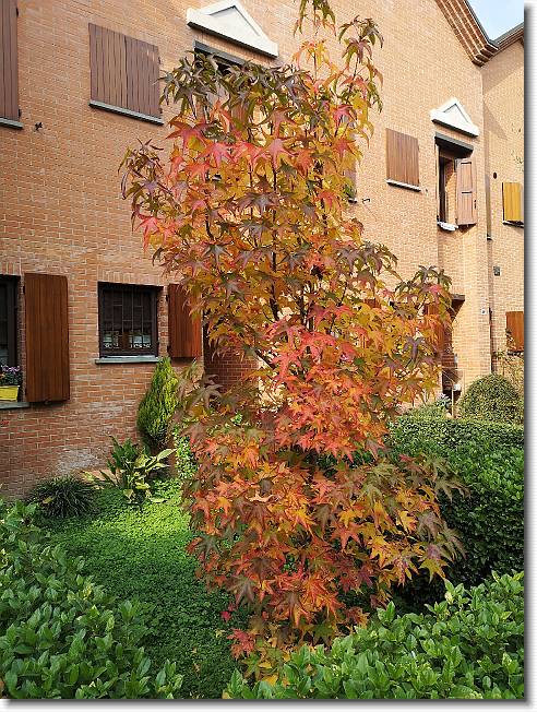 Clicca per scorrere le foto originali ingrandite