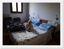 IMG_20211123_145338 * 3648 x 2736 * (432KB)