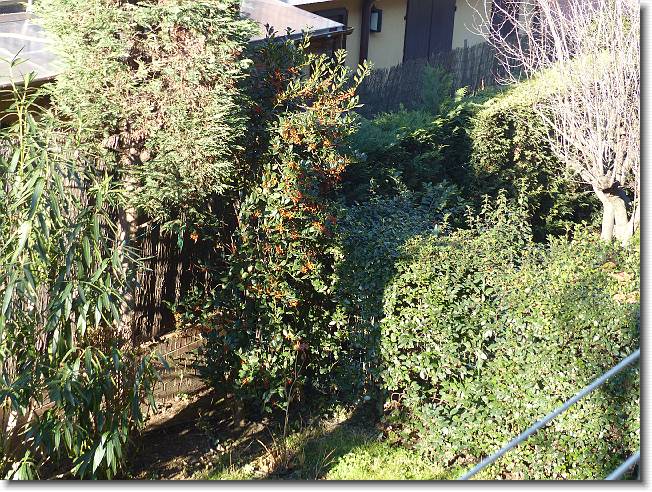 Clicca per scorrere le foto originali ingrandite