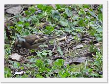 DSCN0234 * 4608 x 3456 * (4.1MB)
