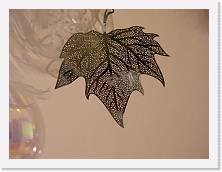 Abe-mm1400 * Foglia nell'albero di natale.  Focale 1400mm * Foglia nell'albero di natale.  Focale 1400mm * 4608 x 3456 * (3.67MB)