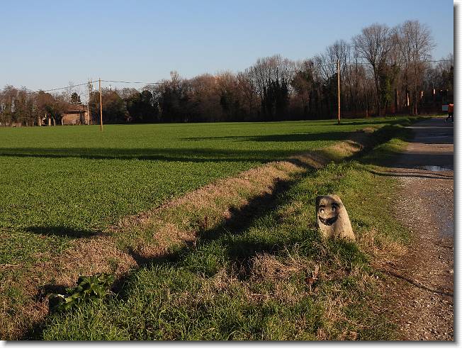 Clicca per scorrere le foto originali ingrandite