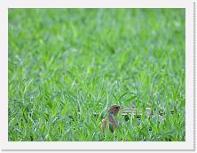 DSCN0315 * 4608 x 3456 * (3.73MB)