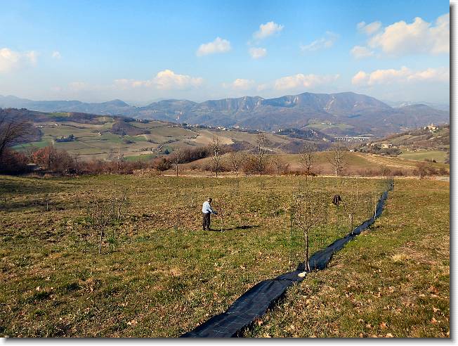 Clicca per scorrere le foto originali ingrandite
