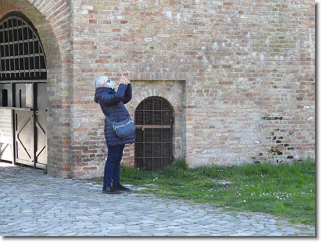 Clicca per scorrere le foto originali ingrandite