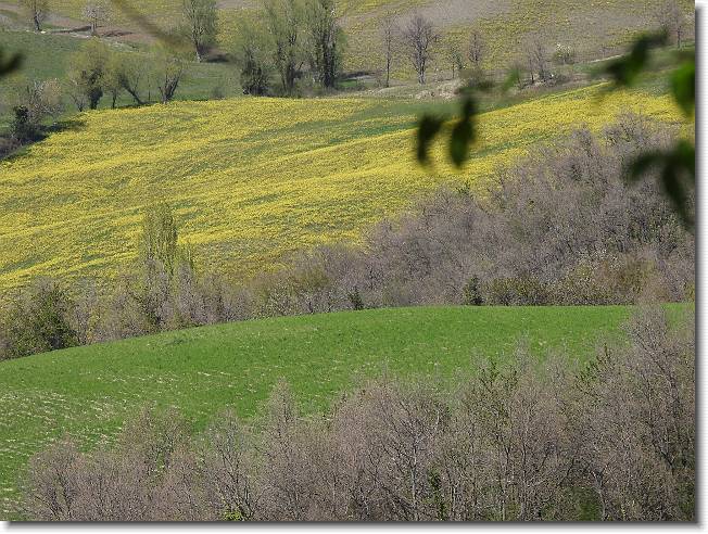 Clicca per scorrere le foto originali ingrandite