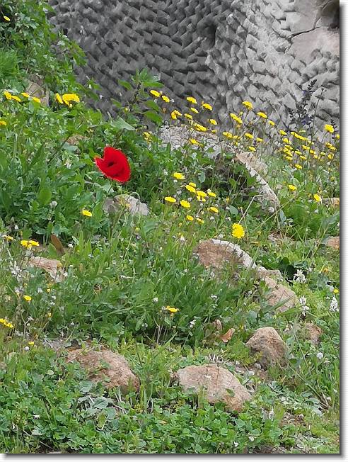 Clicca per scorrere le foto originali ingrandite
