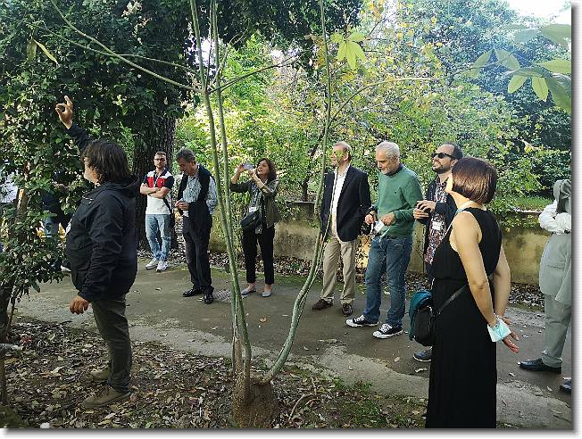 Clicca per scorrere le foto originali ingrandite