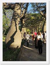 IMG_20220518_185502 * 2736 x 3648 * (2.82MB)