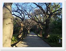 IMG_20220518_185932 * 3648 x 2736 * (2.57MB)