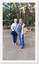 IMG_20220518_191608a * 900 x 1600 * (216KB)