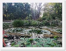 IMG_20220518_192124 * 3648 x 2736 * (2.85MB)