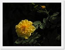 DSCN0119 * 4608 x 3456 * (5.12MB)