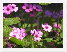 DSCN0128 * 4608 x 3456 * (7.09MB)