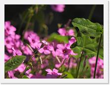 DSCN0129 * 4608 x 3456 * (6.41MB)
