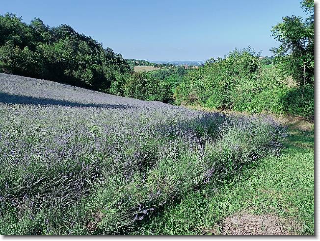 Clicca per scorrere le foto originali ingrandite