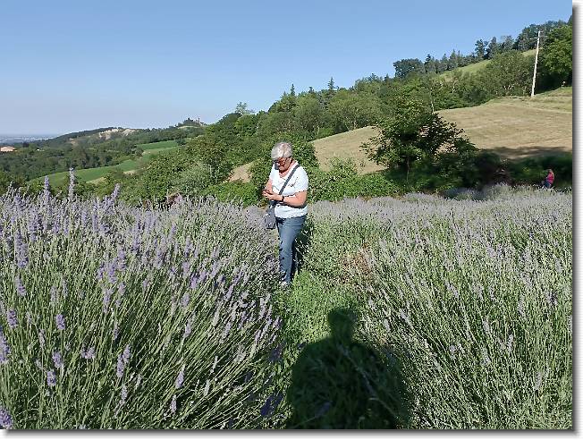 Clicca per scorrere le foto originali ingrandite