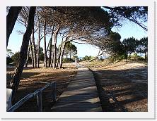 2022-06-01_18-55_21 * 4608 x 3456 * (4.13MB)