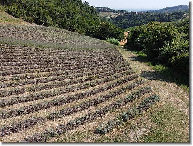 Clicca per scorrere le foto originali ingrandite