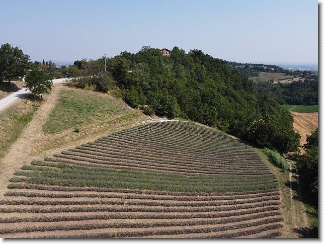 Clicca per scorrere le foto originali ingrandite