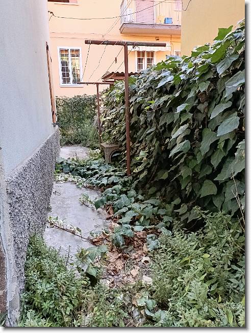 Clicca per scorrere le foto originali ingrandite