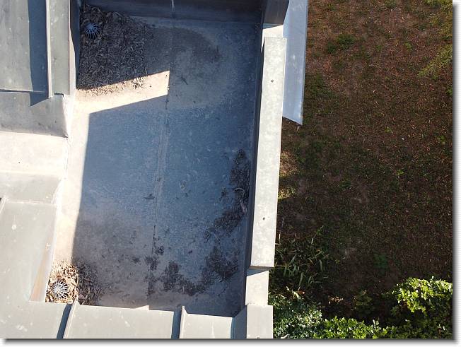Clicca per scorrere le foto originali ingrandite