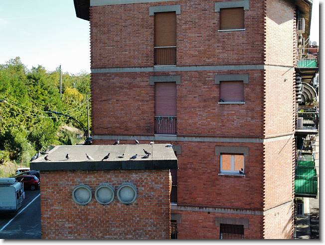 Clicca per scorrere le foto originali ingrandite