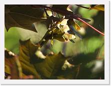 DSCN0119 * 4608 x 3456 * (3.69MB)