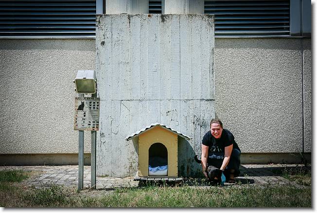 Clicca per scorrere le foto originali ingrandite