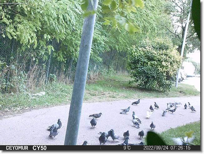 Clicca per scorrere le foto originali ingrandite