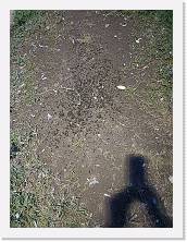 IMG20220927191548 * 3468 x 4624 * (8.19MB)