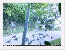 IMG_0863 * 2592 x 1944 * (516KB)