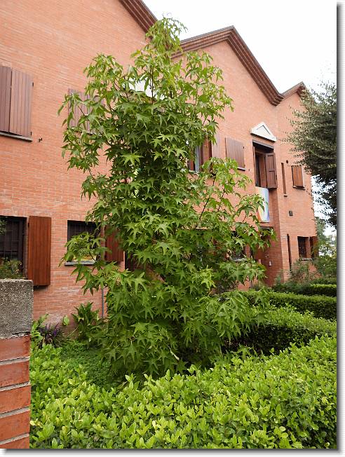 Clicca per scorrere le foto originali ingrandite