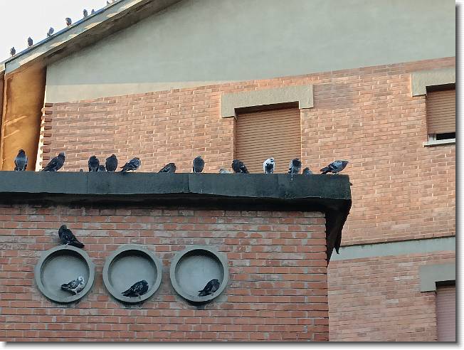 Clicca per scorrere le foto originali ingrandite