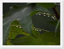 DSCN0523 * 4608 x 3456 * (3.54MB)