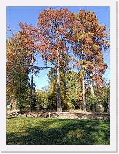 IMG20221030133536 * 3468 x 4624 * (6.66MB)